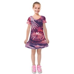 Faded Crystal Flower Kids  Short Sleeve Velvet Dress