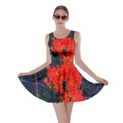 Neon Orange Butterfly Weed Skater Dress by okhismakingart