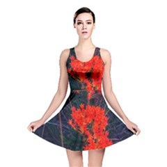 Neon Orange Butterfly Weed Reversible Skater Dress by okhismakingart