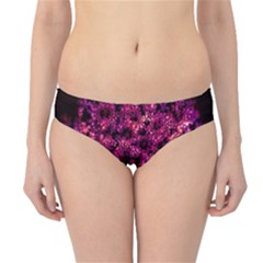 Queen Annes Lace In Red Hipster Bikini Bottoms by okhismakingart