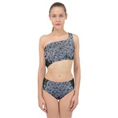 Queen Annes Lace Original Spliced Up Two Piece Swimsuit by okhismakingart