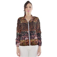 Queen Annes Lace Horizontal Slice Collage Women s Windbreaker by okhismakingart