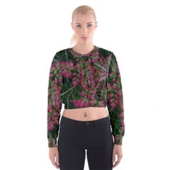 Pink-fringed Leaves Cropped Sweatshirt by okhismakingart