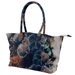 Tree Fungus Branch Vertical Canvas Shoulder Bag by okhismakingart