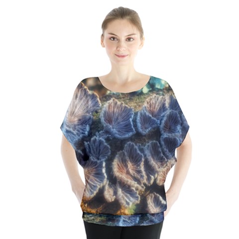 Tree Fungus Branch Batwing Chiffon Blouse by okhismakingart