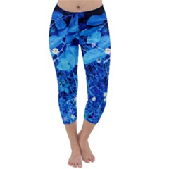 Blue Daisies Capri Winter Leggings  by okhismakingart