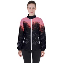 Daisies And Pink Women s High Neck Windbreaker by okhismakingart