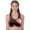 Red Thistle Sports Bra View1