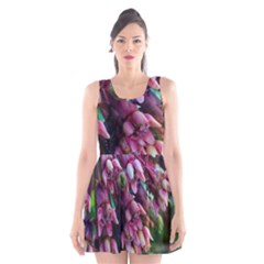 Milkweed Scoop Neck Skater Dress