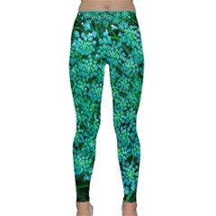 Turquoise Queen Anne s Lace Classic Yoga Leggings by okhismakingart