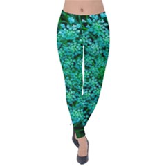 Turquoise Queen Anne s Lace Velvet Leggings by okhismakingart