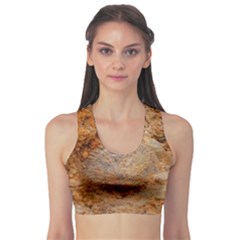 Shell Fossil Ii Sports Bra by okhismakingart