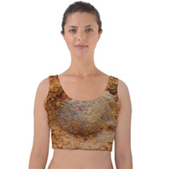 Shell Fossil Ii Velvet Crop Top