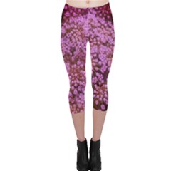 Pink Queen Anne s Lace Landscape Capri Leggings  by okhismakingart