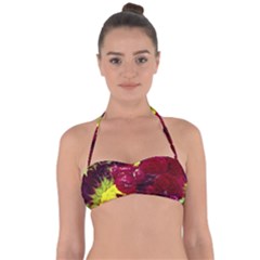 Sunflower And Cockscomb Halter Bandeau Bikini Top by okhismakingart