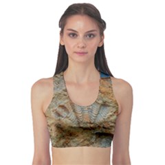 Shell Fossil Sports Bra by okhismakingart