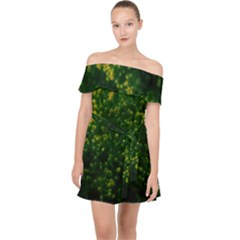 Green Goldenrod Off Shoulder Chiffon Dress