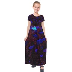 Red-edged Blue Sedum Kids  Short Sleeve Maxi Dress