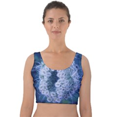 Light Blue Closing Queen Annes Lace Velvet Crop Top