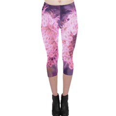 Pink Closing Queen Annes Lace Capri Leggings  by okhismakingart