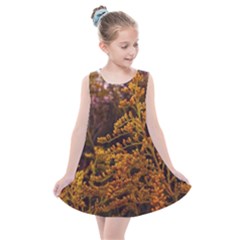 Goldenrod Version Ii Kids  Summer Dress