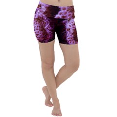 Purple Closing Queen Annes Lace Lightweight Velour Yoga Shorts by okhismakingart