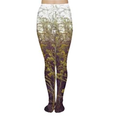 Purple And Yellow Goldenrod Tights by okhismakingart