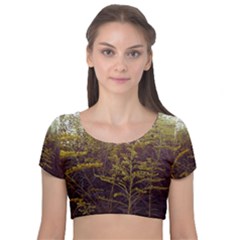 Purple And Yellow Goldenrod Velvet Short Sleeve Crop Top  by okhismakingart