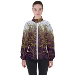 Purple And Yellow Goldenrod Women s High Neck Windbreaker by okhismakingart