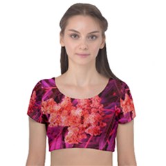 Pink Sideways Sumac Velvet Short Sleeve Crop Top 