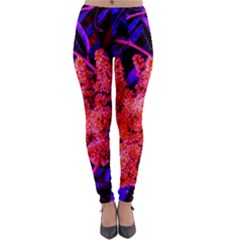 Red And Blue Sideways Sumac Lightweight Velour Leggings