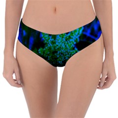 Blue And Green Sumac Bloom Reversible Classic Bikini Bottoms by okhismakingart