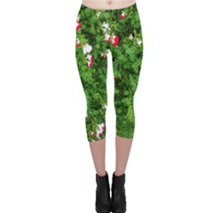 Red And White Park Flowers Capri Leggings 