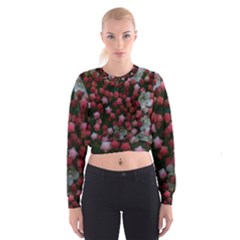 Floral Stars Cropped Sweatshirt by okhismakingart