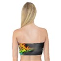 Smoke Rainbow Abstract Fractal Bandeau Top View2