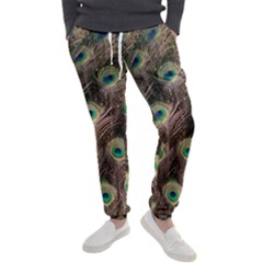 Bird Peacock Tail Feathers Men s Jogger Sweatpants by Pakrebo