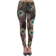 Bird Peacock Tail Feathers Lightweight Velour Leggings by Pakrebo