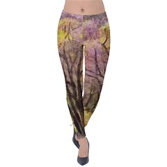 Outdoor Nature Natural Woods Velvet Leggings by Pakrebo