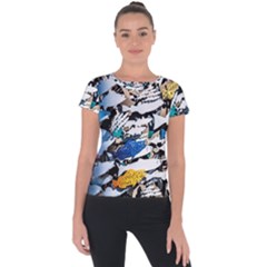 Art Fish Salmon Sydney Metal Short Sleeve Sports Top  by Pakrebo