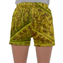 Leaf Structure Texture Background Sleepwear Shorts by Pakrebo