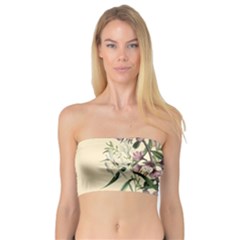 Botanical Print Antique Natural Bandeau Top by Pakrebo