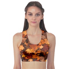 Fall Foliage Autumn Leaves October Sports Bra by Pakrebo