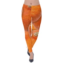 Pumpkin Halloween Fall Thanksgiving Velvet Leggings by Pakrebo