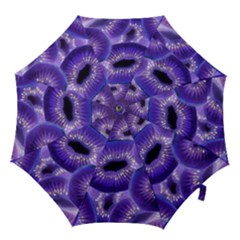 Sliced Kiwi Fruits Purple Hook Handle Umbrellas (small) by Pakrebo