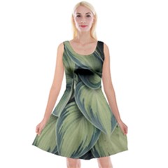 Closeup Photo Of Green Variegated Leaf Plants Reversible Velvet Sleeveless Dress by Pakrebo