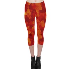 Fall Capri Leggings 