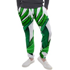 Leaves Tropical Monstera Summer Men s Jogger Sweatpants