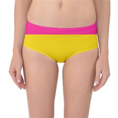 Pansexual Pride Flag Mid-waist Bikini Bottoms by lgbtnation