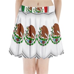 Flag Mexico Country National Pleated Mini Skirt by Sapixe