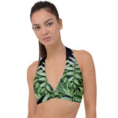 Fern Plant Leaf Green Botany Halter Plunge Bikini Top by Pakrebo